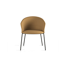 Copa Dining chair CG-B2004