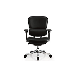 Erghuman plus office chair CG-金豪-1002-7